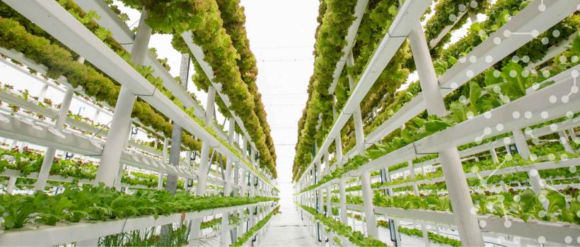 Vertical Farming Market 2025