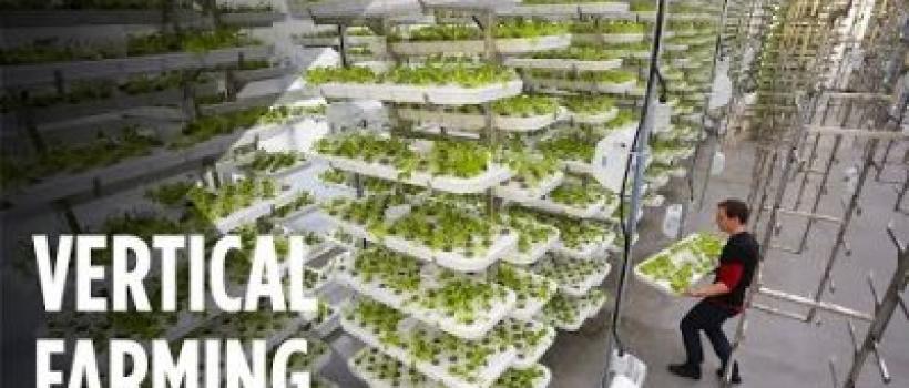 Vertical Farming market