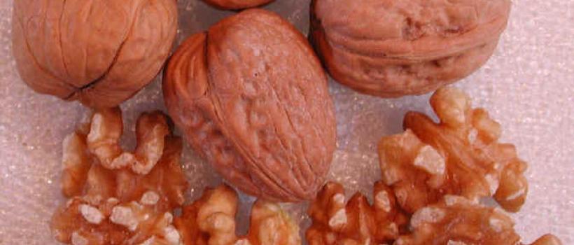 Walnuts Ingredient Market