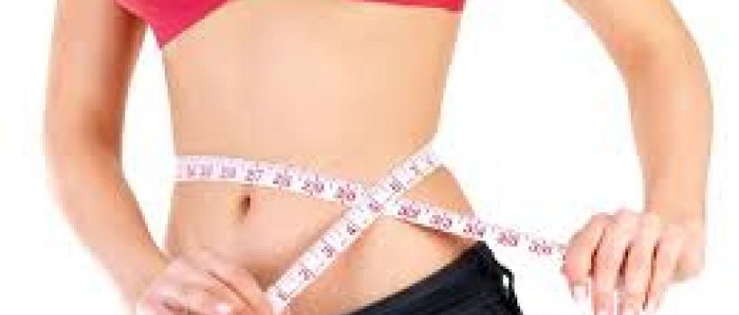 Quick Load Loss Dieting And Healthful Food Recipes