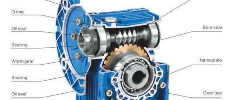 Worm Gearbox Market