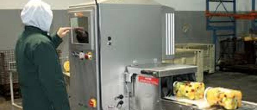 X-ray Food Inspection Equipment Market