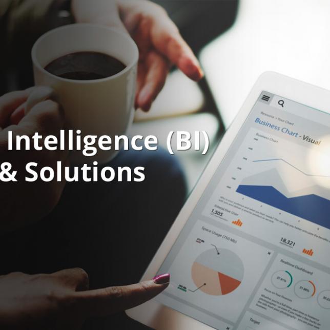 Business Intelligence Development Solutions