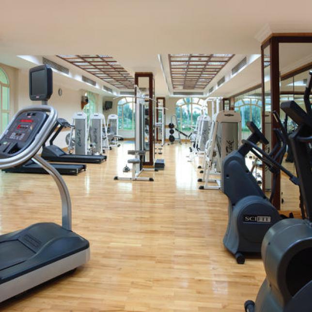 Wellness 