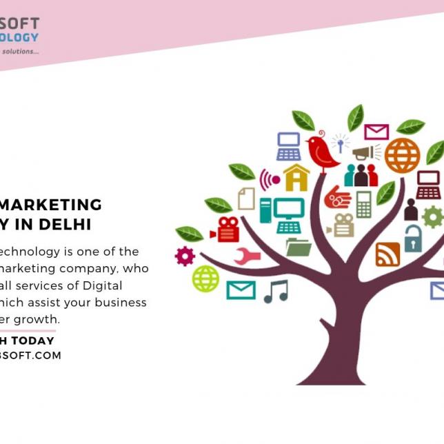 Digital Marketing Company in Delhi – SEO, PPC, SMO