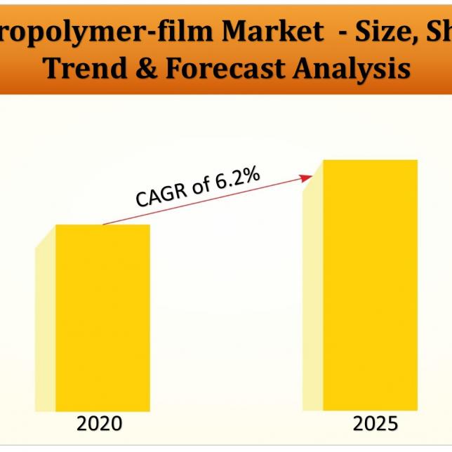 Fluoropolymer-film Market
