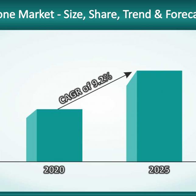 Fluorosilicone Market