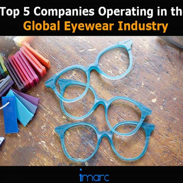 top eyewear companies