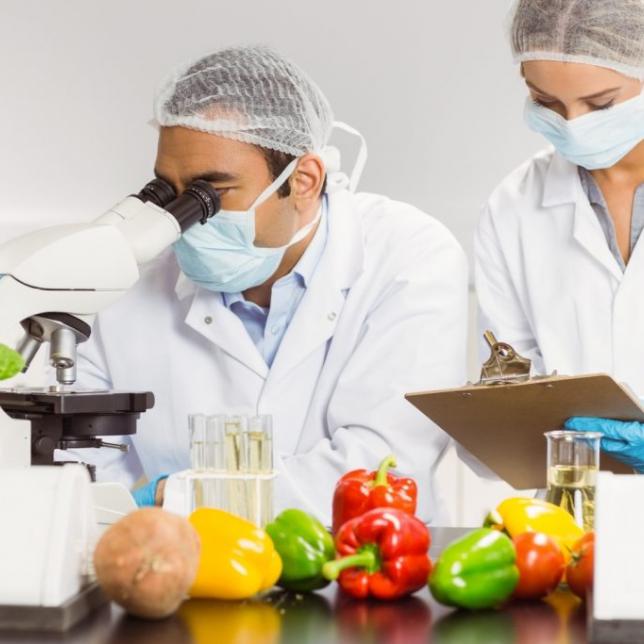 Food Safety Testing Market Report 