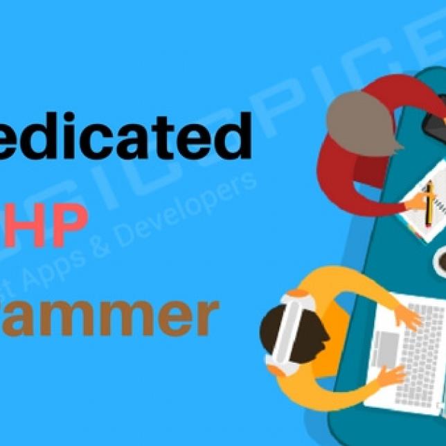 Dedicated PHP Programmer