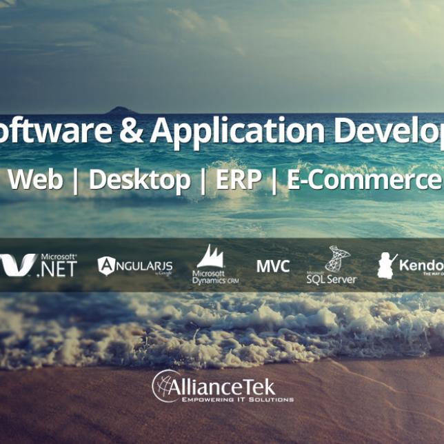 .NET Software & Application Development Services for Web & Desktop