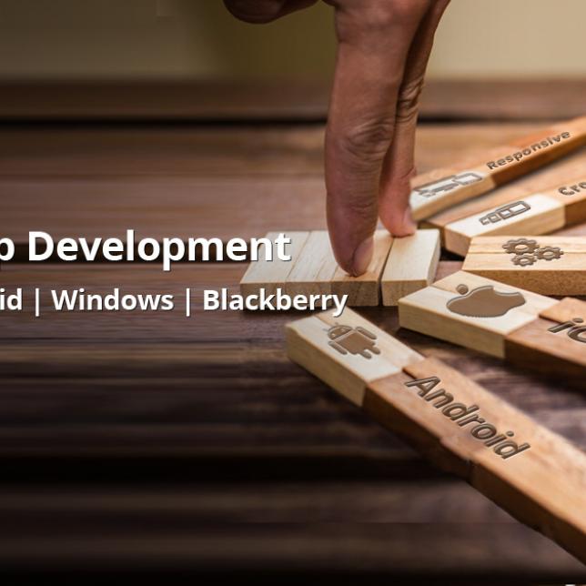 Mobile Application Development - iPhone, Android, Windows