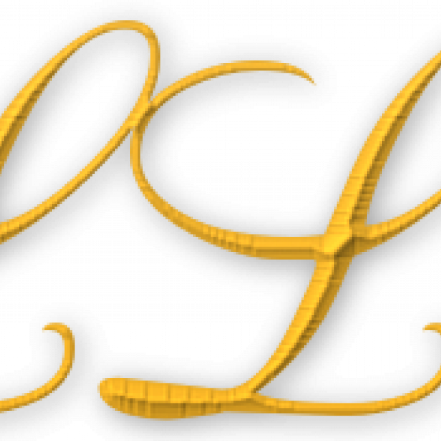 LLC-Domain -the domain of firtst choice of LLCs