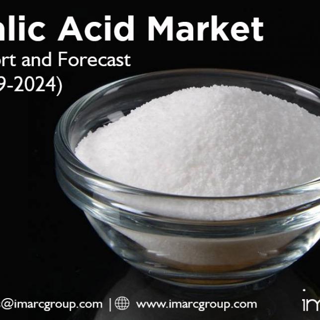 Malic Acid Market Price
