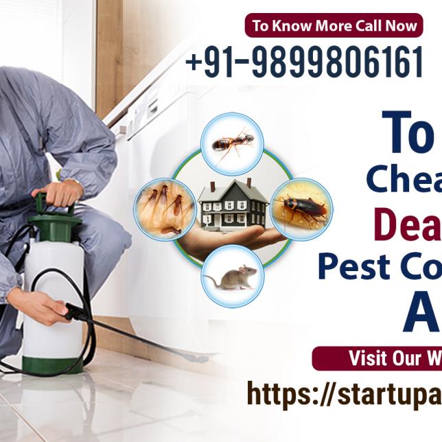 pest control services