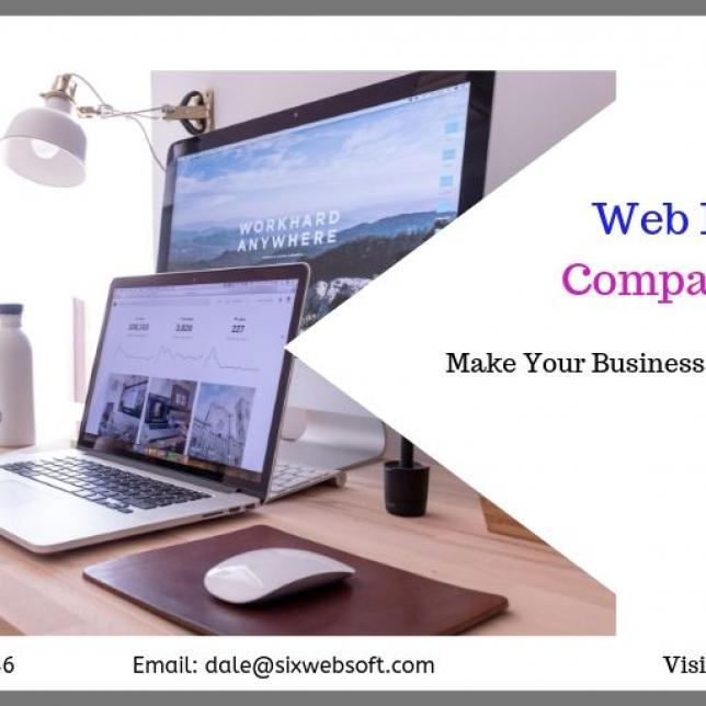 Professiona Website Designing Company In India