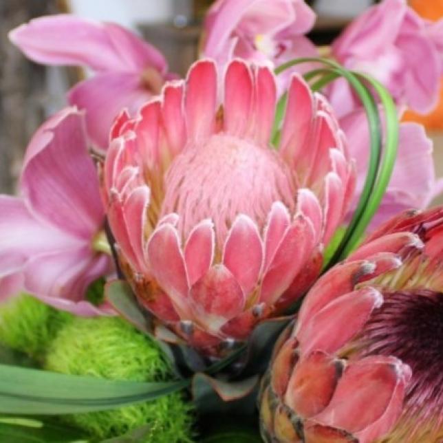 best florist in scottsdale
