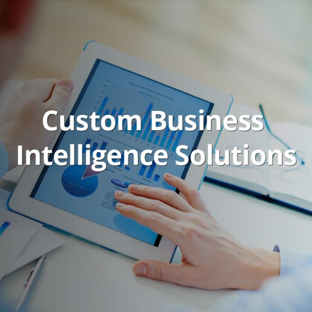 Business Intelligence Services | Custom BI & Location Based BI Solutions
