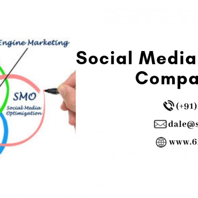 Social Media Marketing Companies- 6ixwebsoft Technology