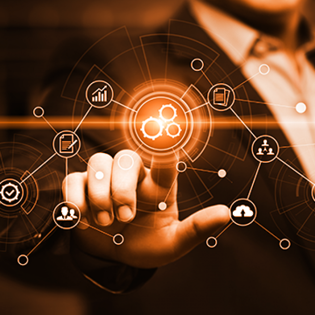 Software Services in Dubai