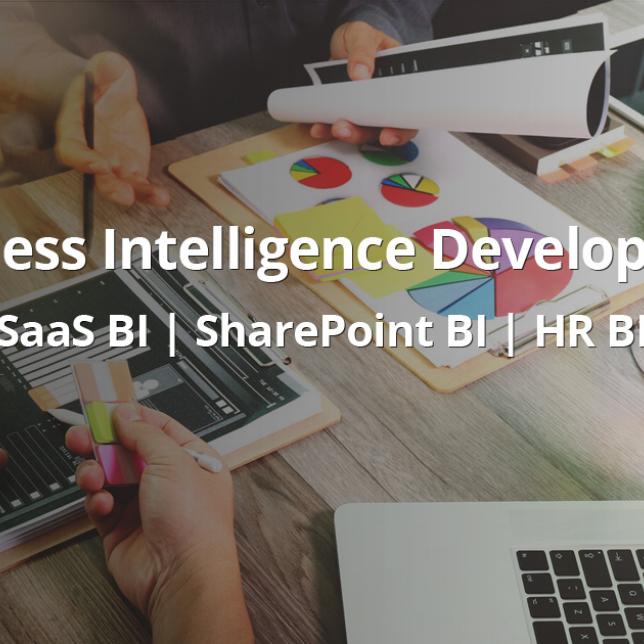Business Intelligence Development Solutions | BI Application Development