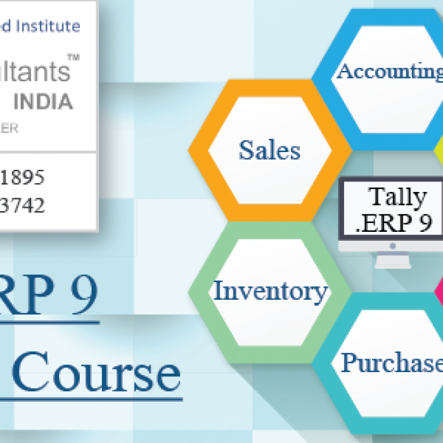 Tally Training in Noida