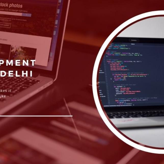 Web Development Company in Delhi, NCR
