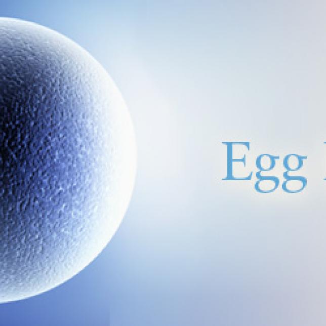 Egg Donors in India