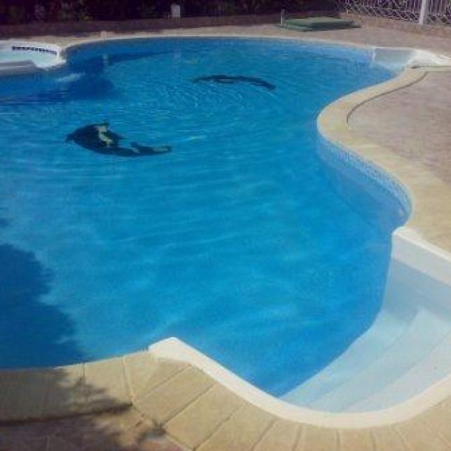 Sphinx Group Swimming Pool Company
