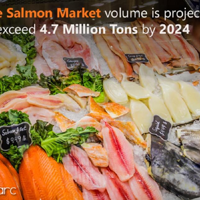 Farmed and Wild Salmon Market