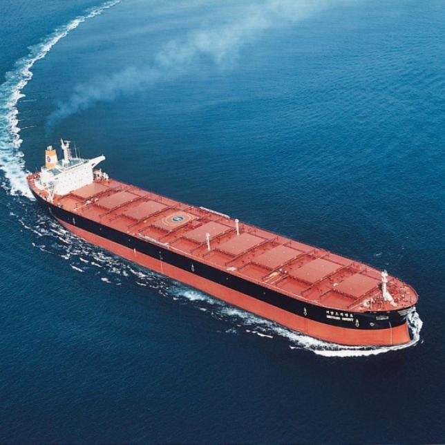 global dry bulk shipping market