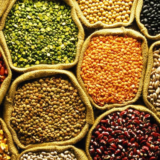 Global Pulses Market Report, Trends and Forecast 
