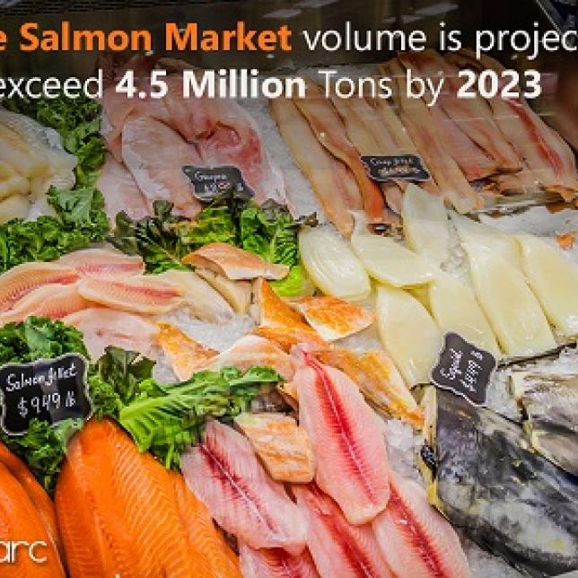 Salmon Market Report