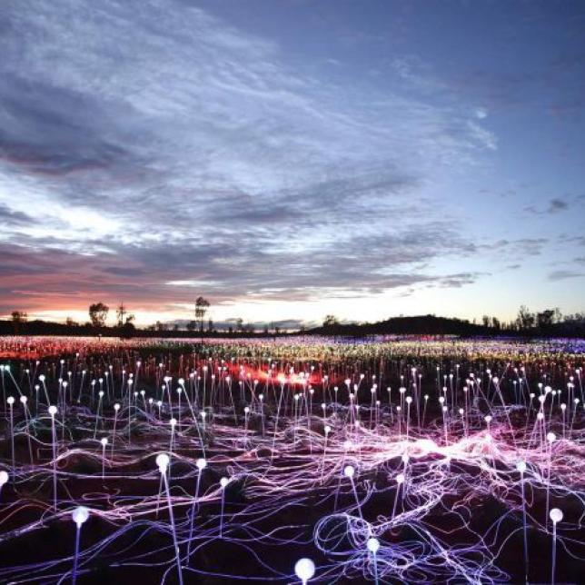 Don’t Miss On The Field Of Lights!