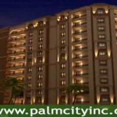 Palm City