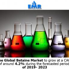 Global Betaines Market Size, Share, Price Trends, Report & Forecast