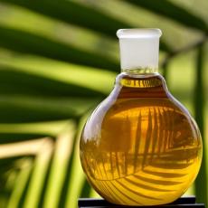 global oleochemicals market