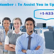 HP Support Number 1-833-557-2555