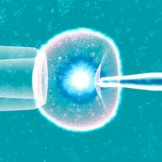 IVF in Delhi NCR