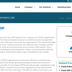 Companies using NetSuite