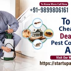 pest control services