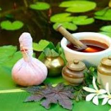 sreeragam