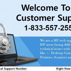 hp customer support number