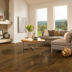 Living Room Interior Design