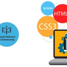 web Development