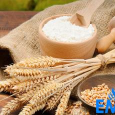 Wheat Flour Market Is Expected To 436 Million Tons By 2024