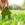 AssureShift's picture AssureShift's picture