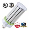 Tennis court lights